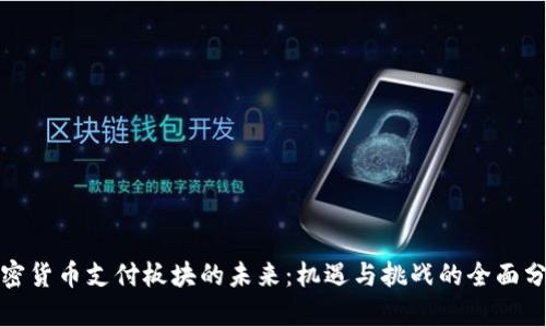 加密货币支付板块的未来：机遇与挑战的全面分析