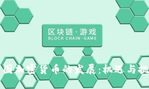 中国加密货币的发展：机遇与挑战