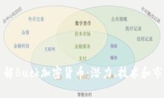 深入了解Buck加密货币：潜