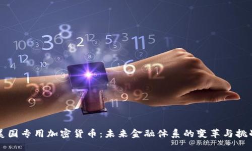 美国专用加密货币：未来金融体系的变革与挑战