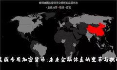 美国专用加密货币：未来