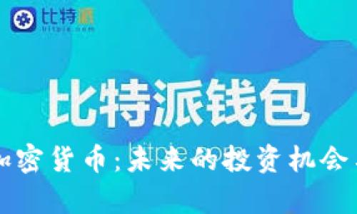 深入评论加密货币：未来的投资机会与风险分析