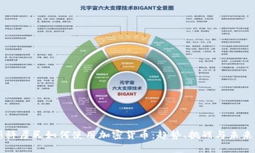莫斯科居民如何使用加密货币：趋势、挑战与未来展望