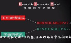 如何下载和使用Bit钱包：