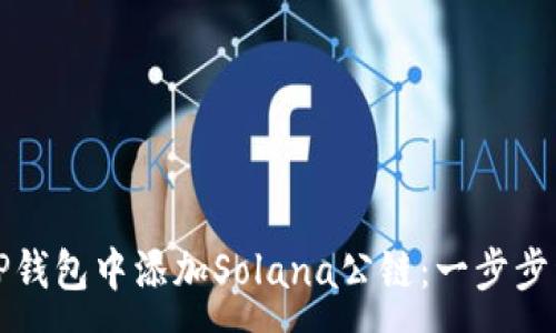 :
如何在TP钱包中添加Solana公链：一步步详细指南
