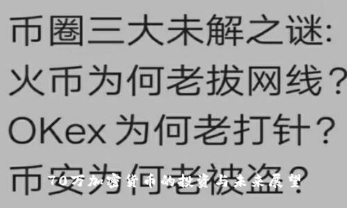 70万加密货币的投资与未来展望