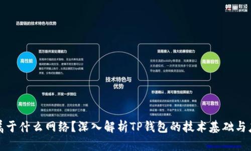 TP钱包属于什么网络？深入解析TP钱包的技术基础与应用场景