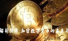 深入解析维卡：加密数字