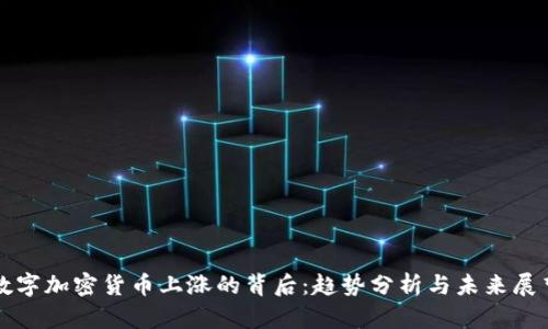 数字加密货币上涨的背后：趋势分析与未来展望