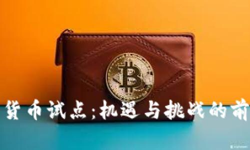 加密数字货币试点：机遇与挑战的前瞻性分析
