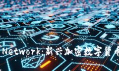 深入了解Pi Network：新兴加