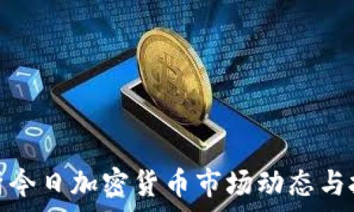  
全面解析今日加密货币市场动态与投资机会