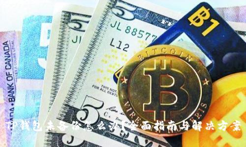 TP钱包未备份怎么办？全面指南与解决方案
