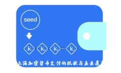 上海加密货币支付的现状