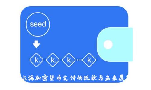 上海加密货币支付的现状与未来展望
