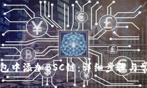 如何在TP钱包中添加BSC链：详细步骤与常见问题解析