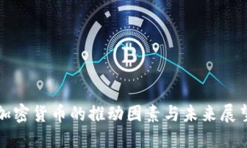 加密货币的推动因素与未来展望