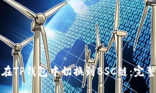 如何在TP钱包中切换到BSC链：完整指南