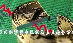 新兴加密货币现状及未来
