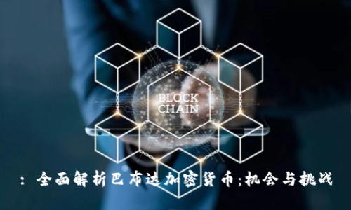 : 全面解析巴布达加密货币：机会与挑战
