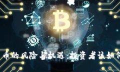 加密货币的风险与机遇：