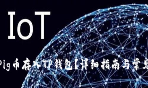 : 如何将Pig币存入TP钱包？详细指南与常见问题解析