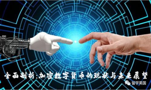 全面剖析：加密数字货币的现状与未来展望