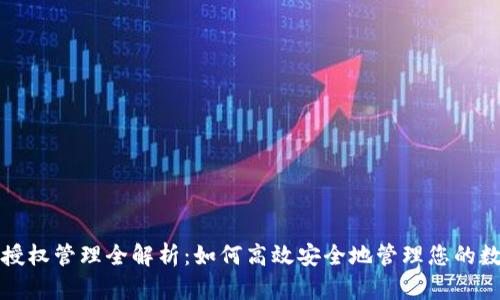 TP钱包授权管理全解析：如何高效安全地管理您的数字资产