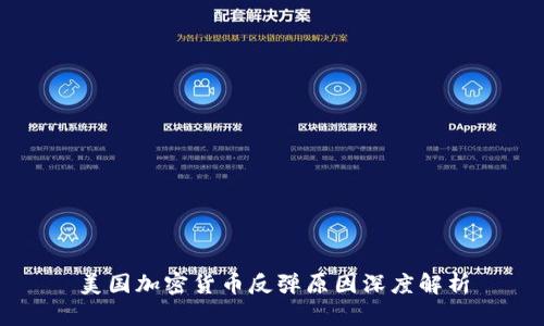 美国加密货币反弹原因深度解析