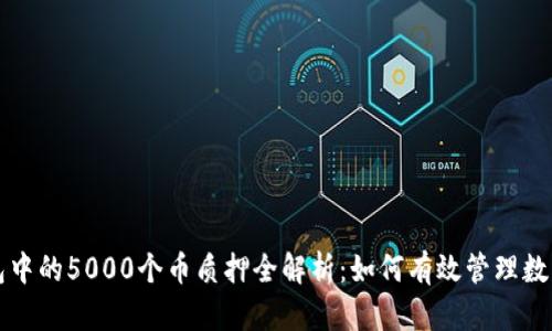 TP钱包中的5000个币质押全解析：如何有效管理数字资产
