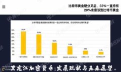 黑龙江加密货币：发展现状与未来展望