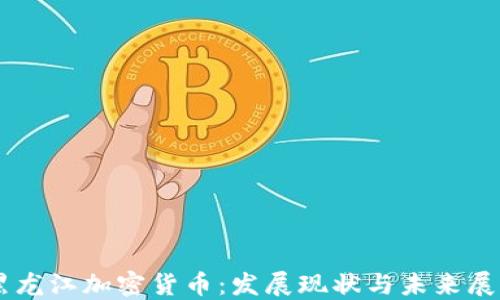 
黑龙江加密货币：发展现状与未来展望
