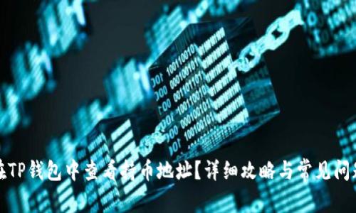 如何在TP钱包中查看持币地址？详细攻略与常见问题解答