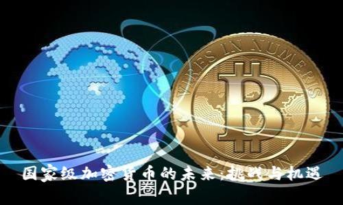 国家级加密货币的未来：挑战与机遇