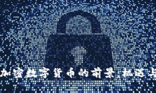 未来加密数字货币的前景：机遇与挑战