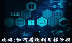 TP钱包闪兑攻略：如何有效利用梯子提升交易体验