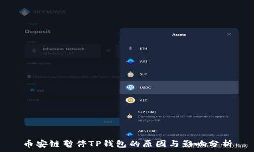   
币安链暂停TP钱包的原因与影响分析