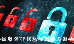   币安链暂停TP钱包的原因与影响分析
