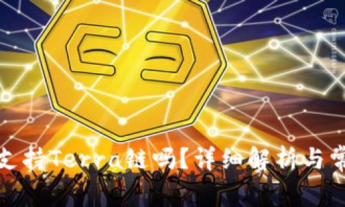 TP钱包支持Terra链吗？详细解析与常见问题
