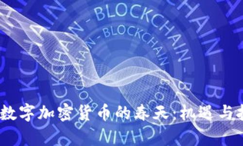2023年数字加密货币的春天：机遇与挑战并存