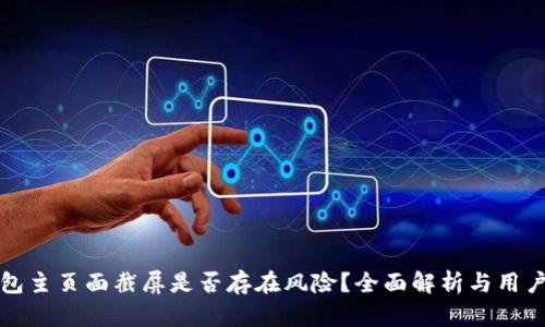 TP钱包主页面截屏是否存在风险？全面解析与用户指南