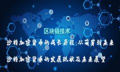 沙特加密货币的成长历程：从萌芽到未来沙特加