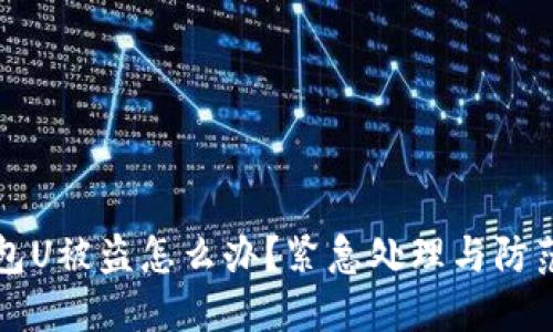 TP钱包U被盗怎么办？紧急处理与防范指南