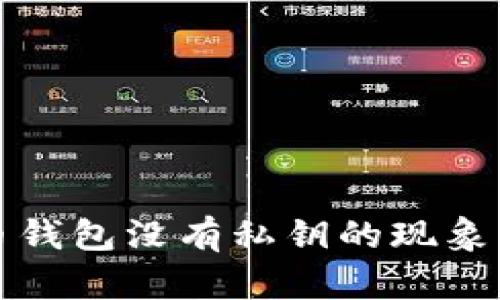 TP钱包比特币钱包没有私钥的现象及其解决方案