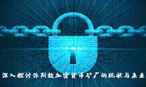 深入探讨休斯敦加密货币矿厂的现状与未来