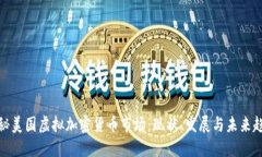 揭秘美国虚拟加密货币市