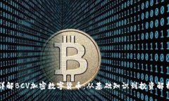 详解BCV加密数字货币：从