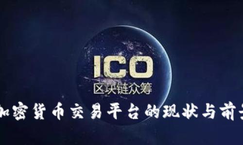 国内加密货币交易平台的现状与前景分析