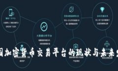 中国加密货币交易平台的现状与未来发展