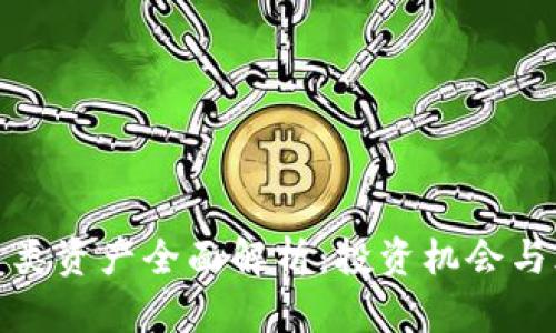 加密货币类资产全面解析：投资机会与风险管理